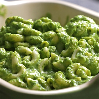 Green macaroni